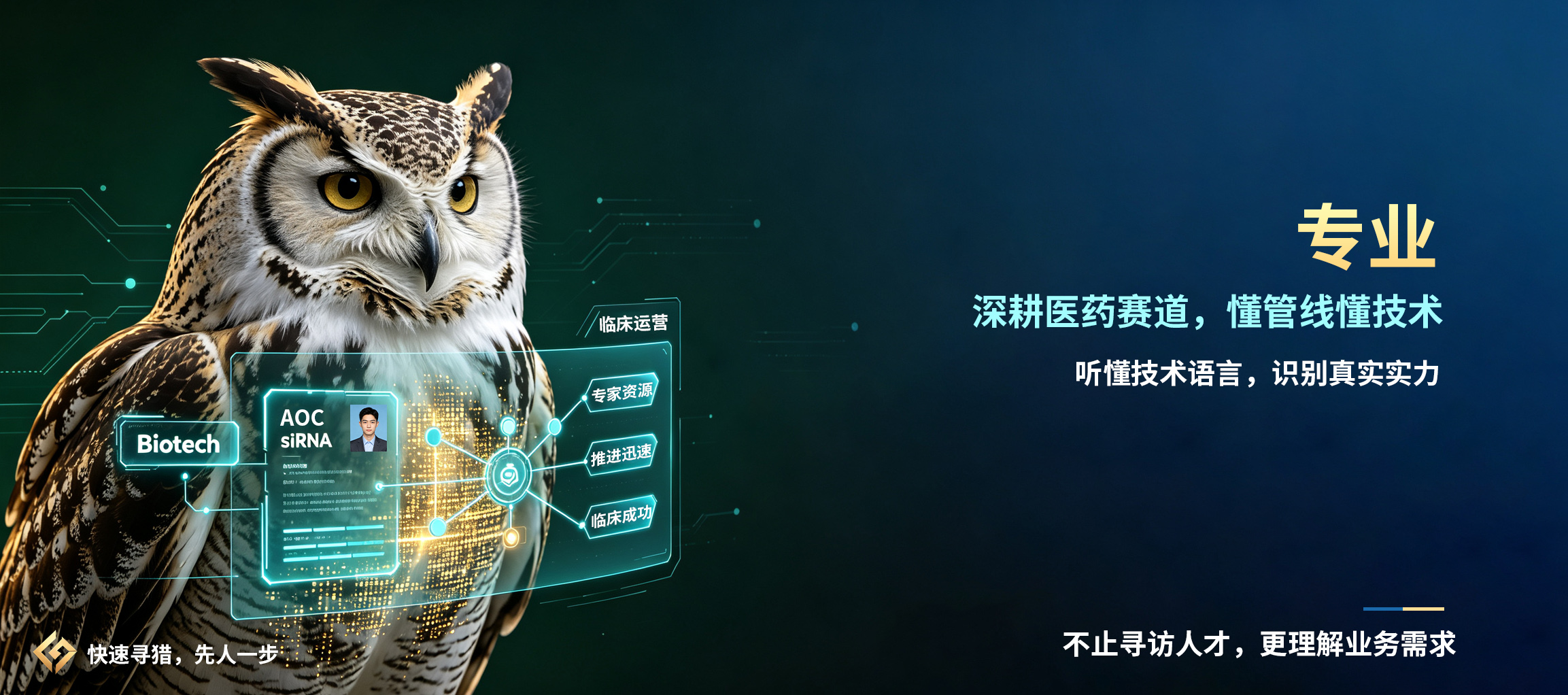 通栏图片